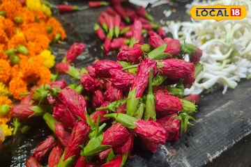 ফুলের বাজারে আগুন! কালীপুজোয় রাঙা জবা কত টাকায় বিক্রি হচ্ছে জানেন? ফুলের বাজারে আগুন! কালীপুজোয় রাঙা জবা কত টাকায় বিক্রি হচ্ছে জানেন?