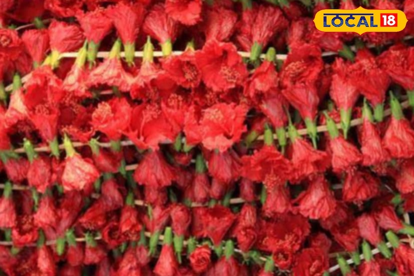 ১০৮টি লাল জবা ছাড়া কালীপুজো অসম্পূর্ণ। কিন্তু এবারে সেই জবা ফুল অপরিহার্য। ফুলের দাম শুনে কার্যত হাঁ করে যাচ্ছেন ভক্তরা। পর্যাপ্ত ফলন থাকা সত্ত্বেও বাজারে আকাশ ছুঁয়েছে জবা ফুলের দাম। অভিযোগ, একশ্রেণীর অসাধু ব্যবসায়ী চাষিদের কাছ থেকে কম দামে ফুল কিনে কয়েক গুণ বেশি দামে বিক্রি করছেন বাজারে। (ছবি ও তথ্য: সৈকত শী)