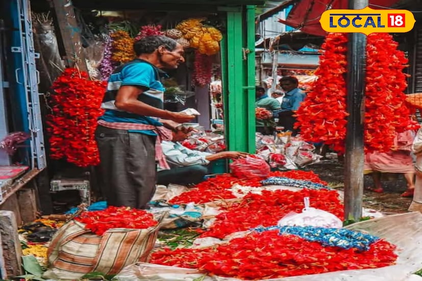 কালীপুজোর সকালে কোলাঘাট, তমলুক সহ বিভিন্ন বাজারে দেখা গেল— পাইকারি দরে লাল গাঁদা ফুল বিক্রি হচ্ছে প্রতি কেজি ৩৫০ থেকে ৪২০ টাকায়, আর হলুদ গাঁদা ২২০ থেকে ২৫০ টাকায়। তিন ফুট লম্বা গাঁদার মালা বিক্রি হচ্ছে ৩০ থেকে ৪০ টাকায়। কিন্তু চোখ কপালে তুলেছে রক্ত জবার দাম। ছবি ও তথ্য: সৈকত শী)