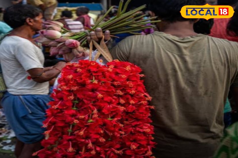 অন্যান্য সময় ২০০ থেকে ৩০০ টাকায় বিক্রি হওয়া এক হাজার কুঁড়ির জবা ফুলের দাম কালীপুজোর দিন বিক্রি হচ্ছে ৭৫০ থেকে ১০০০ টাকায়। ১০৮ ফুলের মালা বিক্রি হচ্ছে ৩৫০ থেকে ৪০০ টাকায়, যা আগের দামের তুলনায় দ্বিগুণেরও বেশি। (ছবি ও তথ্য: সৈকত শী)