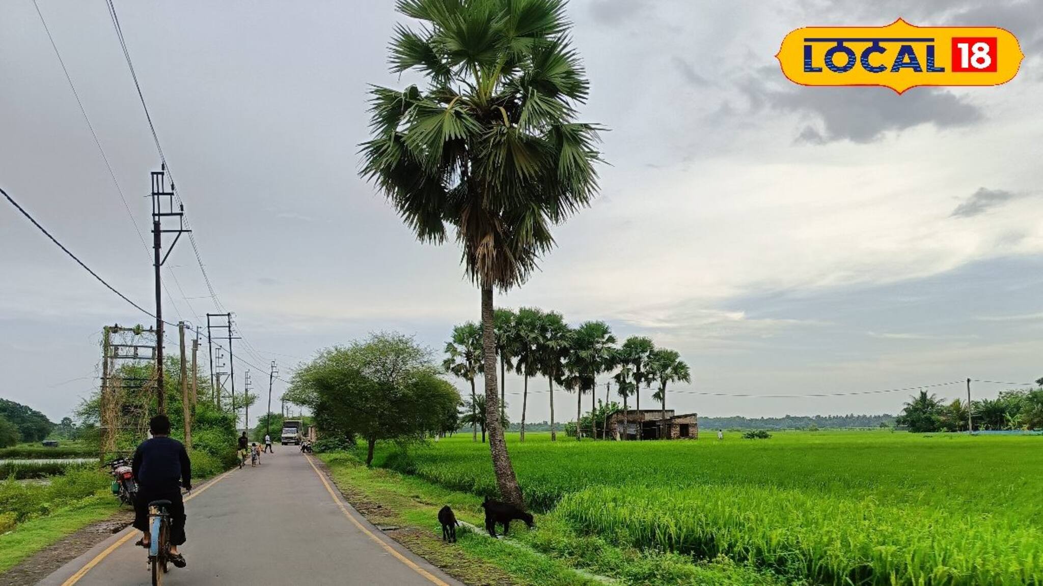 কলকাতার কাছে গ্রাম্য পরিবেশে কাটুক একটা দিন, ছোট্ট ছুটিতে এটি হতে পারে পারফেক্ট ডেস্টিনেশন