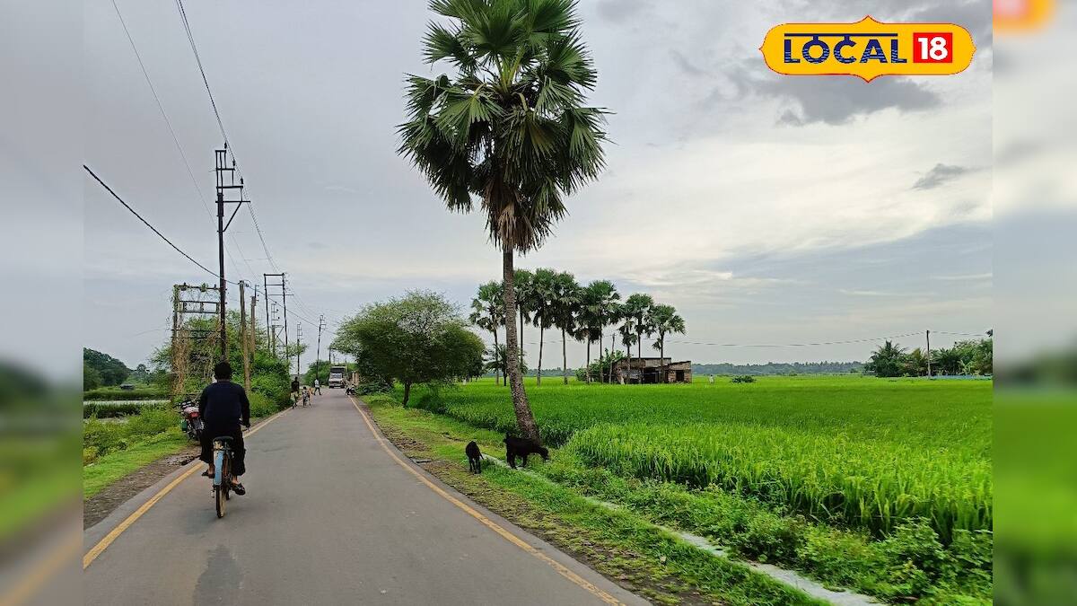 Weekend Trip: কলকাতার কাছেই গ্রাম্য পরিবেশে কাটুক একটা দিন, ছোট্ট ছুটিতে এটি হতেই পারে পারফেক্ট ডেস্টিনেশন