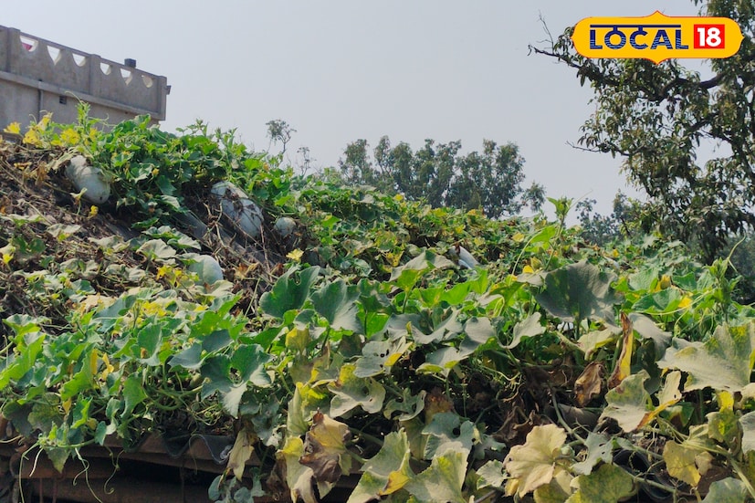 তিনি আরও জানান, 