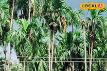 New Business Ideas: পতিত জমিতেই লাখ টাকার ব্যবসা! একবার বিনিয়োগে ৭০ বছর লাভ, এই চাষ শুরু করে আপনিও আয় করতে পারবেন লক্ষ লক্ষ টাকা!
