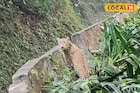 পাংখাবাড়ির রাস্তায় ওটা কী! অল্পের জন্য রক্ষা পেল যুবক! ভাইরাল পাহাড়ের ভিডিও