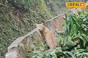 পাংখাবাড়ির রাস্তায় ওটা কী! অল্পের জন্য রক্ষা পেল যুবক! ভাইরাল পাহাড়ের ভিডিও