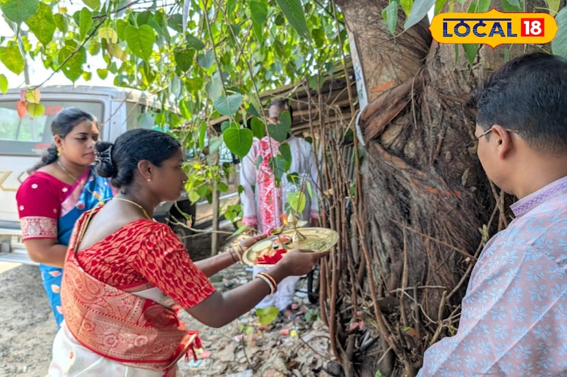 সারাবছর বসানো গাছগুলি কতটা বড় হল সেই গুলিও খতিয়ে দেখা হয়। সেই গাছগুলিতেও ফোঁটা দেওয়া হয়। এই কর্মসূচি নিয়ে সাধারণ মানুষজনের মধ্যে উৎসাহ ছিল তুঙ্গে।