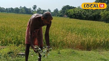 স্থানীয়রা