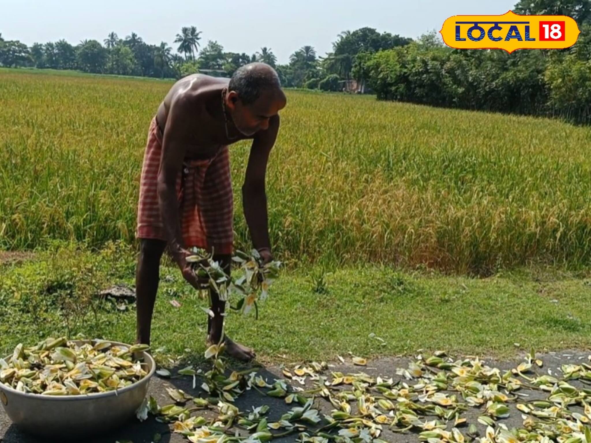 Mpney Making Tips: শালুক ফুলে জীবিকার আলো! মহিলাদের স্বনির্ভরতা! সুন্দরবনের প্রত্যন্ত অঞ্চলে আয়ের নতুন দিশা