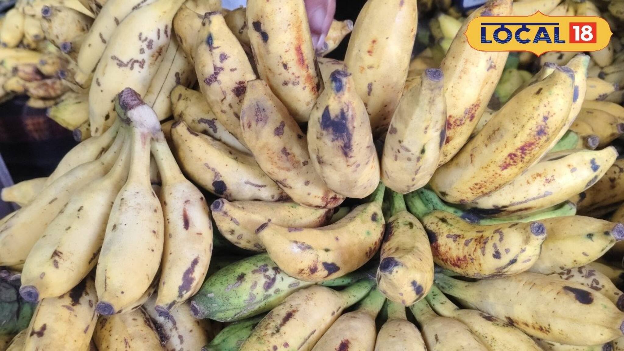 রোজ সকালে ব্রেকফাস্টে কলা লাগে? খাওয়া ভুলে যান...! বাজারে আগুন দাম কলা, নারকেলের!