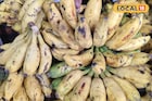 রোজ সকালে ব্রেকফাস্টে কলা লাগে? খাওয়া ভুলে যান...! বাজারে আগুন দাম কলা, নারকেলের!