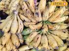 রোজ সকালে ব্রেকফাস্টে কলা লাগে? খাওয়া ভুলে যান...! বাজারে আগুন দাম কলা, নারকেলের!