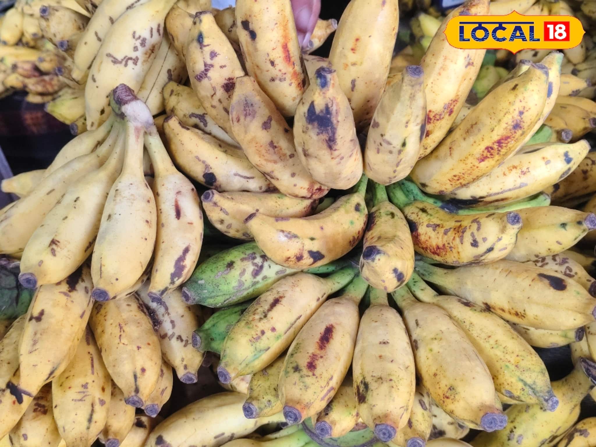 Chhath Puja Market Price: রোজ সকালে ব্রেকফাস্টে কলা লাগে? খাওয়া ভুলে যান...! বাজারে আগুন দাম কলা, নারকেলের! ১ পিসের দাম শুনলে ভিড়মি খাবেন