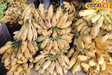 রোজ সকালে ব্রেকফাস্টে কলা লাগে? খাওয়া ভুলে যান...! বাজারে আগুন দাম কলা, নারকেলের! রোজ সকালে ব্রেকফাস্টে কলা লাগে? খাওয়া ভুলে যান...! বাজারে আগুন দাম কলা, নারকেলের!