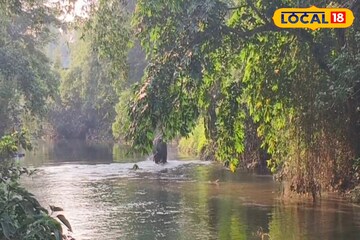 মায়ের খোঁজে এলাকায় দাপাদাপি, ময়নাগুড়ি কাঁপাচ্ছেন 'তিনি'! ছবিতে দেখুন কী হচ্ছে