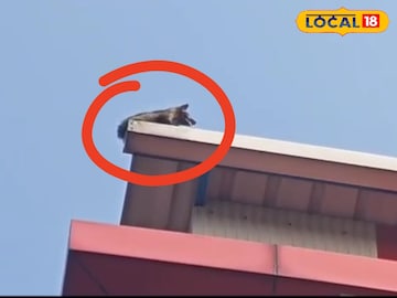 পাঁচতলার পাঁচতলার