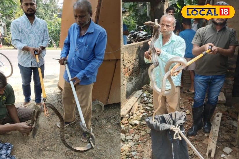 *প্রায় পাঁচ মাসে ৫০টিরও অধিক চন্দ্রবোড়া সাপ উদ্ধার করা হয়েছে দিঘা-সহ কাঁথি বনাঞ্চল থেকে। বন দফরের দাবি, অন্যান্য বছরের তুলনায় এ বছর অনেক বেশি সাপ উদ্ধার হয়েছে। বন দফতর সূত্রের খবর, গত ছ'মাসে ১৬০টিরও বেশি সাপ উদ্ধার করা হয়েছে। যার মধ্যে চন্দ্রবোড়া ৫৩টি। এছাড়াও রয়েছে বিষধর কেউটে।