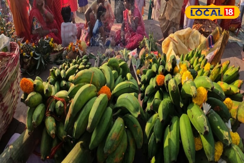 গত বছর যেখানে এক কাঁদি চাঁপা কলার দাম উঠেছিল ৩০০ থেকে ৪০০ টাকা পর্যন্ত, সেখানে এ বছর সেই দাম নেমে এসেছে ১০০ থেকে ২০০ টাকায়। চাহিদার তুলনায় সরবরাহ বেশি হওয়ায় দাম এতটা কমে গেছে বলে জানান ব্যবসায়ীরা।