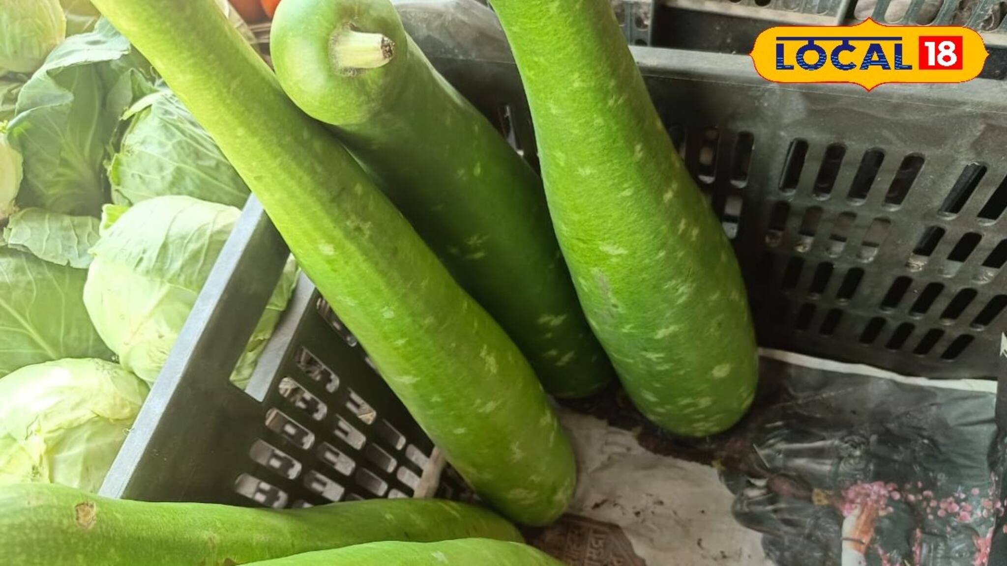 ছট পুজোয় লাউ ও ছোলার ডাল খাচ্ছেন? কী হচ্ছে শরীরে এর ফলে? জানলে চমকাবেন