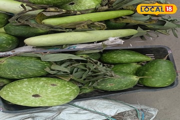 ছট পুজোয় লাউ ও ছোলার ডাল খাচ্ছেন? কী হচ্ছে শরীরে এর ফলে? জানলে চমকাবেন ছট পুজোয় লাউ ও ছোলার ডাল খাচ্ছেন? কী হচ্ছে শরীরে এর ফলে? জানলে চমকাবেন