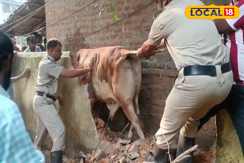 দমকল ও গ্রামবাসীদের রুদ্ধশ্বাস প্রচেষ্টায় নতুন জীবন পেল অবলা প্রাণী। এক অবলা প্রাণীর জীবনের লড়াই যেন পুরো গ্রামকে মানবিকতার বন্ধনে বেঁধে ফেলল। বীরভূমের সিউড়ি থানার অন্তর্গত সিউড়ি ১ নম্বর ব্লকের পূর্ব কালীপুরের ডোমপাড়ায় শনিবার রাতভর ঘটে এমনই এক নাটকীয় ঘটনা। (ছবি ও তথ্যঃ সুদীপ্ত গড়াই) দমকল ও গ্রামবাসীদের রুদ্ধশ্বাস প্রচেষ্টায় নতুন জীবন পেল অবলা প্রাণী। এক অবলা প্রাণীর জীবনের লড়াই যেন পুরো গ্রামকে মানবিকতার বন্ধনে বেঁধে ফেলল। বীরভূমের সিউড়ি থানার অন্তর্গত সিউড়ি ১ নম্বর ব্লকের পূর্ব কালীপুরের ডোমপাড়ায় শনিবার রাতভর ঘটে এমনই এক নাটকীয় ঘটনা। (ছবি ও তথ্যঃ সুদীপ্ত গড়াই)