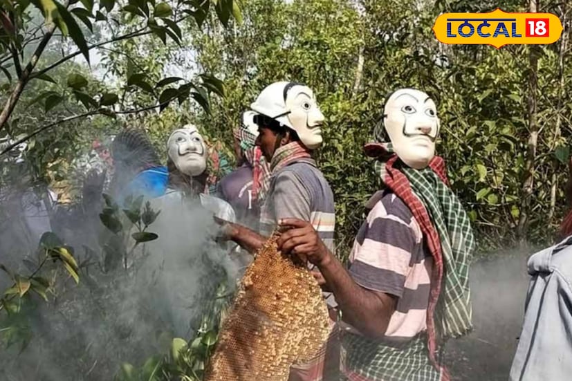 এই প্রকল্পে যারা কাজ করবেন, তাঁরা দীর্ঘদিন ধরেই সুন্দরবনের নদীর চরে ম্যানগ্রোভ রোপণের কাজে যুক্ত। শুধু ম্যানগ্রোভ রোপণ নয়, পরিচর্যার মধ্য দিয়ে ম্যানগ্রোভ রক্ষার কাজও তাঁরা করেছেন। সেই কাজের উপহারস্বরূপ তাঁদের স্বনির্ভর করার এই উদ্যোগ নেওয়া হয়েছে। ‘বাহা মৌ’ বা ‘বাহা মধু’ নামে বাজারে আসবে সুন্দরবনের এই মধু।