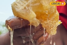 Identify Real Honey vs Fake: সুন্দরবনের মধু বলে দিয়েছে ঠকিয়ে, দাম দিয়ে কেনা মধু খাঁটি কি না তা বুঝবেন কী করে? জেনে নিন