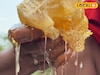 সুন্দরবনের মধু বলে দিয়েছে ঠকিয়ে, দাম দিয়ে কেনা মধু খাঁটি কি না তা বুঝবেন কী করে? জেনে নিন