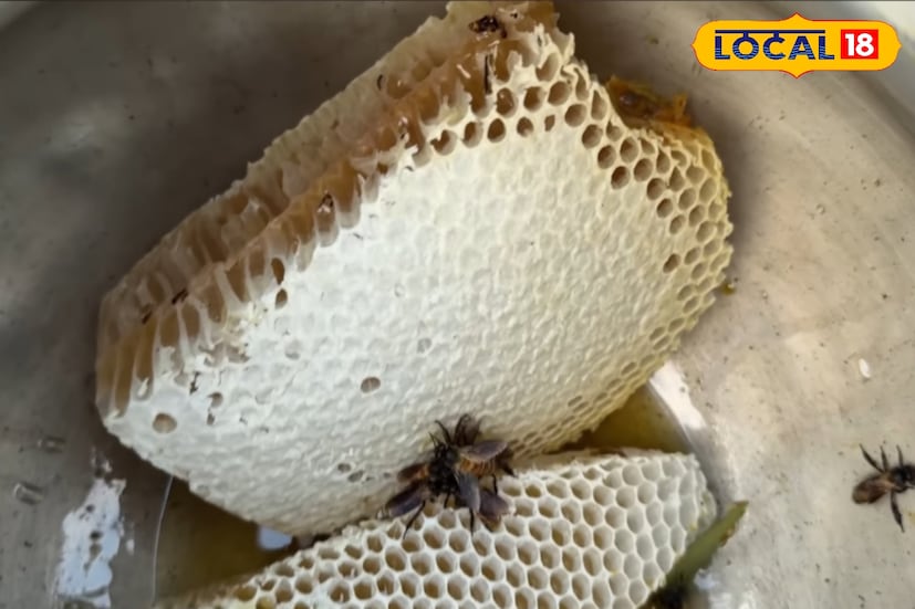 চিনি-ভিত্তিক সাধারণ মিষ্টতার তুলনায় সুন্দরবনের মধু প্রায় দেড়গুণ বেশি প্রাকৃতিক মিষ্টতা ধারণ করে। তাই এটি শুধু মিষ্টি নয়, বরং মুখে গলে গিয়ে জাগিয়ে তোলে এক গাঢ়, প্রানোদ্দীপক অনুভূতি। ঘ্রাণে আছে বনের স্যাঁতসেঁতে আবেশ, আর স্বাদে টক-মিষ্টির নিখুঁত মেলবন্ধন।
