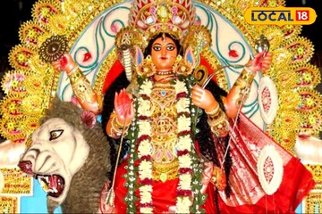 অশোকনগরে ৫৩ টা জগদ্ধাত্রী পুজো, পকেটে গাইডম্যাপ নিয়ে বেরোন, নাহলে মাঝরাস্তায় ফাঁসবেন