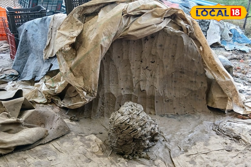 আর এই ব্যবসা আপনি শুরু করতে পারেন মাত্র হাজার টাকা দিয়ে। কলকাতা, হাওড়া ও কৃষ্ণনগর থেকে টন হিসেবে নিয়ে আসতে হবে মাটি। দাম প্রতি টন হাজার টাকা আর এক টন মাটি দিয়েই তৈরি করা যায় প্রায় ২০০০ মাটির ভাঁড়। যা বাজারে বিভিন্ন ছোট বড় চায়ের দোকানে বিক্রি হয় ১০০ পিস ৭০ থেকে ৮০ টাকা দামের। এছাড়াও তৈরি করতে পারেন মাটির অন্যান্য জিনিস যা বেশ ভালো দামে বিক্রি হয় বাজারে।