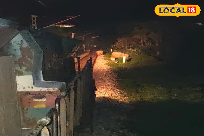 কয়েক মাস আগেই সেবক রেললাইন সংলগ্ন জঙ্গলে ট্রেনের ধাক্কায় প্রাণ হারিয়েছিল এক হাতি। সেই ঘটনার রেশ এখনও মিলিয়ে যায়নি। আর ঠিক সেই একই রুটে এবার এক পাল হাতির প্রাণ রক্ষা করলেন দুই রেলকর্মী লোকো পাইলট অরুণাভ মিত্র ও সহকারী লোকো পাইলট এস.কে. সিংহ।