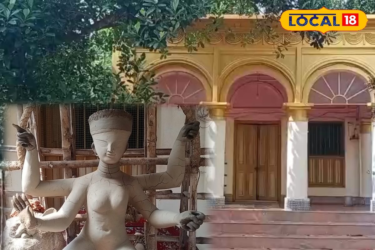 Mahabringraj soch yogi sharhlari Mahabringraj soch yogi sharhlari