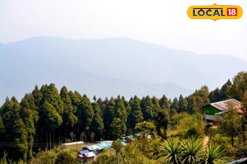 *স্থানীয়দের বিশ্বাস, এই বাংলো ঘিরে অনেক রহস্যও রয়েছে ।কেউ কেউ বলেন, কুয়াশা নামলে এখানে এক অদ্ভুত নীরবতা ছায়া ফেলে, যেন পাহাড় নিজেই কথা বলতে শুরু করে।ভোরবেলায় সূর্যোদয়ের দৃশ্য কিংবা সন্ধ্যার হালকা কুয়াশা রিকিসুমের প্রতিটি মুহূর্তে মিশে আছে এক মায়াবী আবেশ। কাছেই লাভা, লোলেগাঁও, পেদং-এর মতো জনপ্রিয় স্থান, কিন্তু রিকিসুমের মতো নিস্তব্ধতা আর কোথাও নেই।