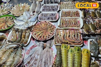 মুচমুচে অক্টোপাস ভাজা! দামি রেস্তোরাঁ নয়! অল্প দামে পাবেন ঘরের কাছেই এই সমুদ্র সৈকতে