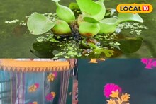 জলে অবহেলায় পরে থাকা কচুরিপানা থেকে তৈরি হচ্ছে ট্রেন্ডিং ড্রেস! দেখলে তাজ্জব হয়ে যাবেন