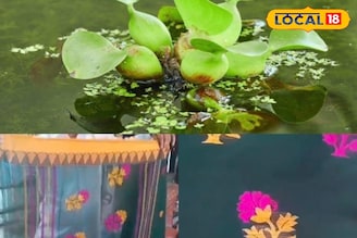 জলে অবহেলায় পরে থাকা কচুরিপানা থেকে তৈরি হচ্ছে ট্রেন্ডিং ড্রেস! দেখলে তাজ্জব হয়ে যাবেন