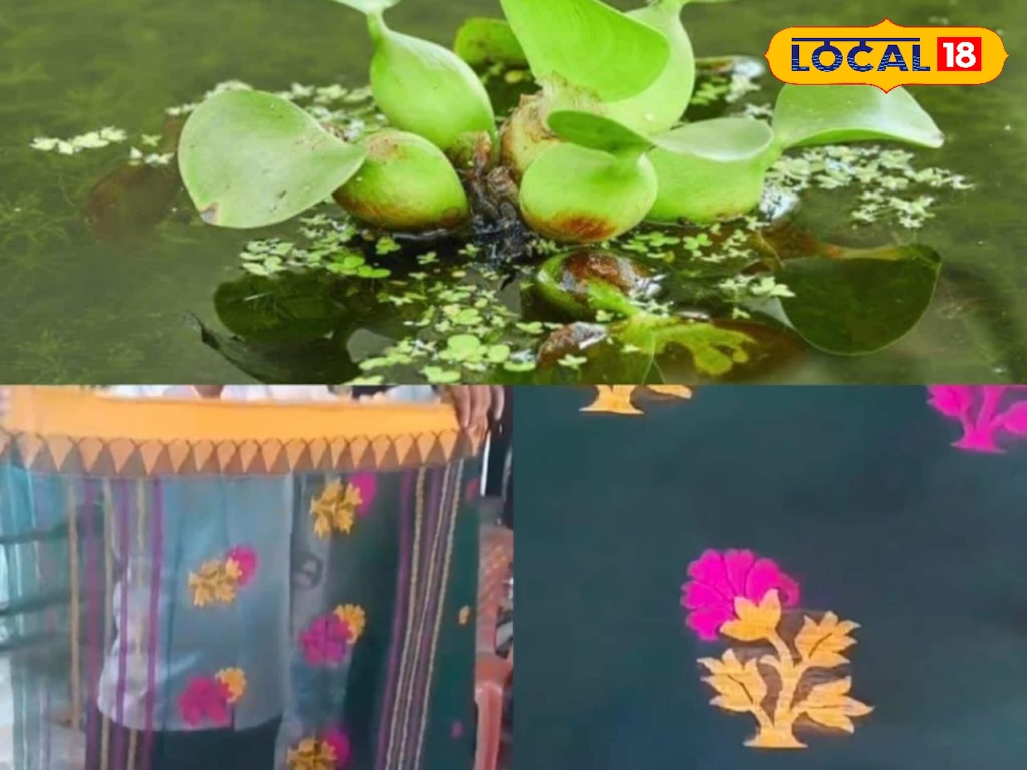 Handloom: জলে অবহেলায় পরে থাকা কচুরিপানা থেকে তৈরি হচ্ছে ট্রেন্ডিং ড্রেস! দেখলে তাজ্জব হয়ে যাবেন Handloom: জলে অবহেলায় পরে থাকা কচুরিপানা থেকে তৈরি হচ্ছে ট্রেন্ডিং ড্রেস! দেখলে তাজ্জব হয়ে যাবেন