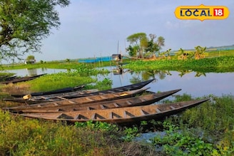 কলকাতার কাছেই 'মিনি ডাল লেক', একঘেয়েমি জীবন থেকে মিলবে মুক্তি, ঘুরে আসুন মোহময়ী বরতির বিল