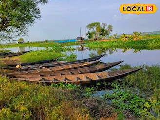 কলকাতার কাছেই 'মিনি ডাল লেক', একঘেয়েমি জীবন থেকে মিলবে মুক্তি, ঘুরে আসুন মোহময়ী বরতির বিল