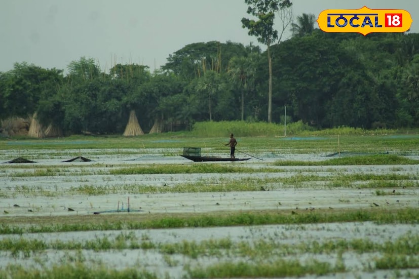 বল্লির বিল এখনো পর্যটনের দিক থেকে তেমন পরিচিত নয়, কিন্তু সম্ভাবনা অপরিসীম। অবকাশ যাপন, প্রকৃতি দর্শন কিংবা ফটোগ্রাফি— সবকিছুর জন্যই এই স্থান এক অসাধারণ পছন্দ হতে পারে। শহরের কোলাহল থেকে দূরে, নীরবতা ও প্রকৃতির সান্নিধ্যে কিছুটা সময় কাটাতে চাইলে বল্লির বিল হতে পারে আপনার পরবর্তী ভ্রমণ তালিকার প্রথম নাম।