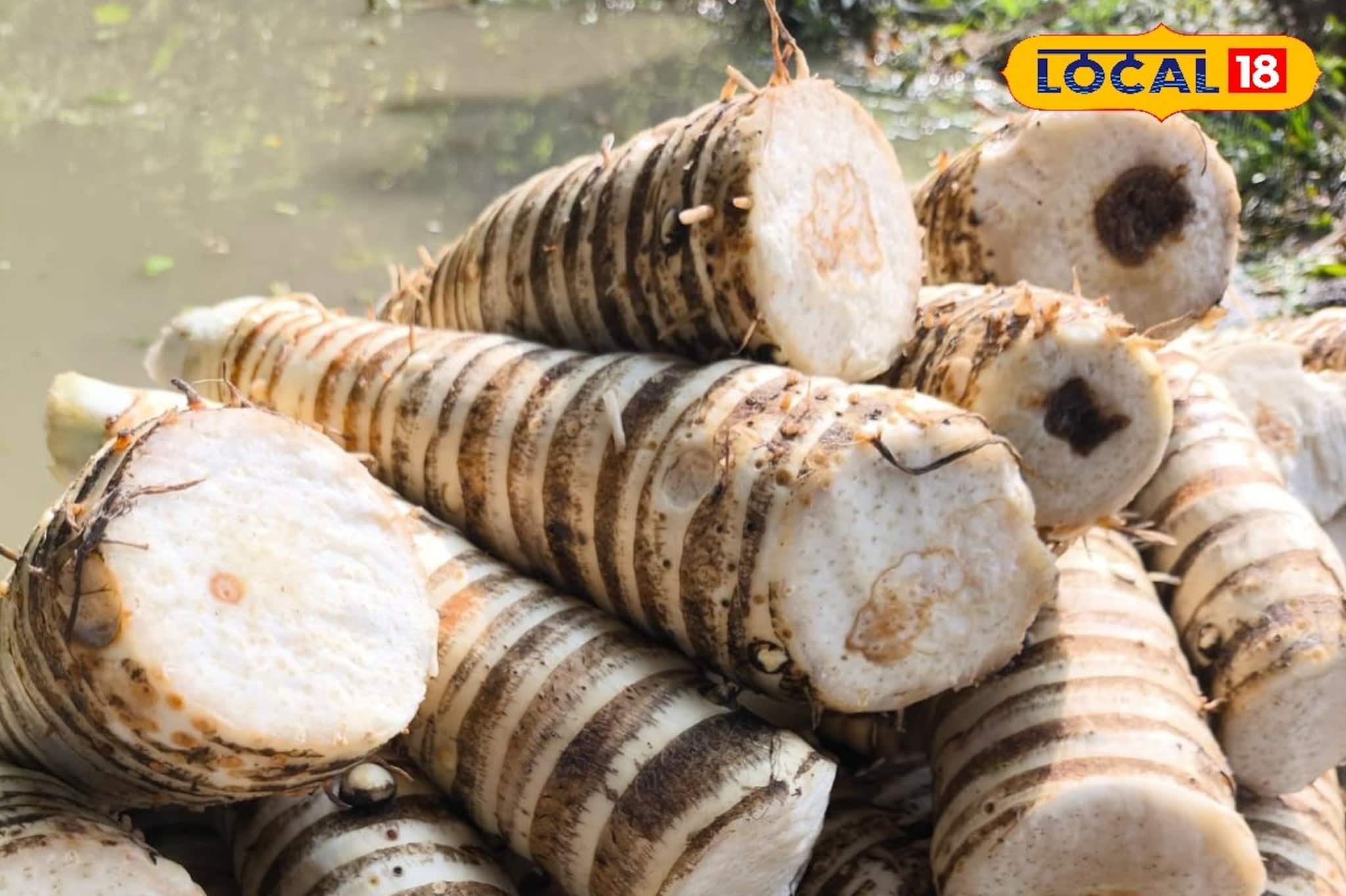 Winter Lifestyle: মেয়েদের জিভ দিয়ে জল পড়ে! শীতের শুরুতে বাঁকুড়ায় পাওয়া যায়! সকলে কেনার জন‍্য পাগল