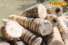 Winter Lifestyle: মেয়েদের জিভ দিয়ে জল পড়ে! শীতের শুরুতে বাঁকুড়ায় পাওয়া যায়! সকলে কেনার জন্য পাগল