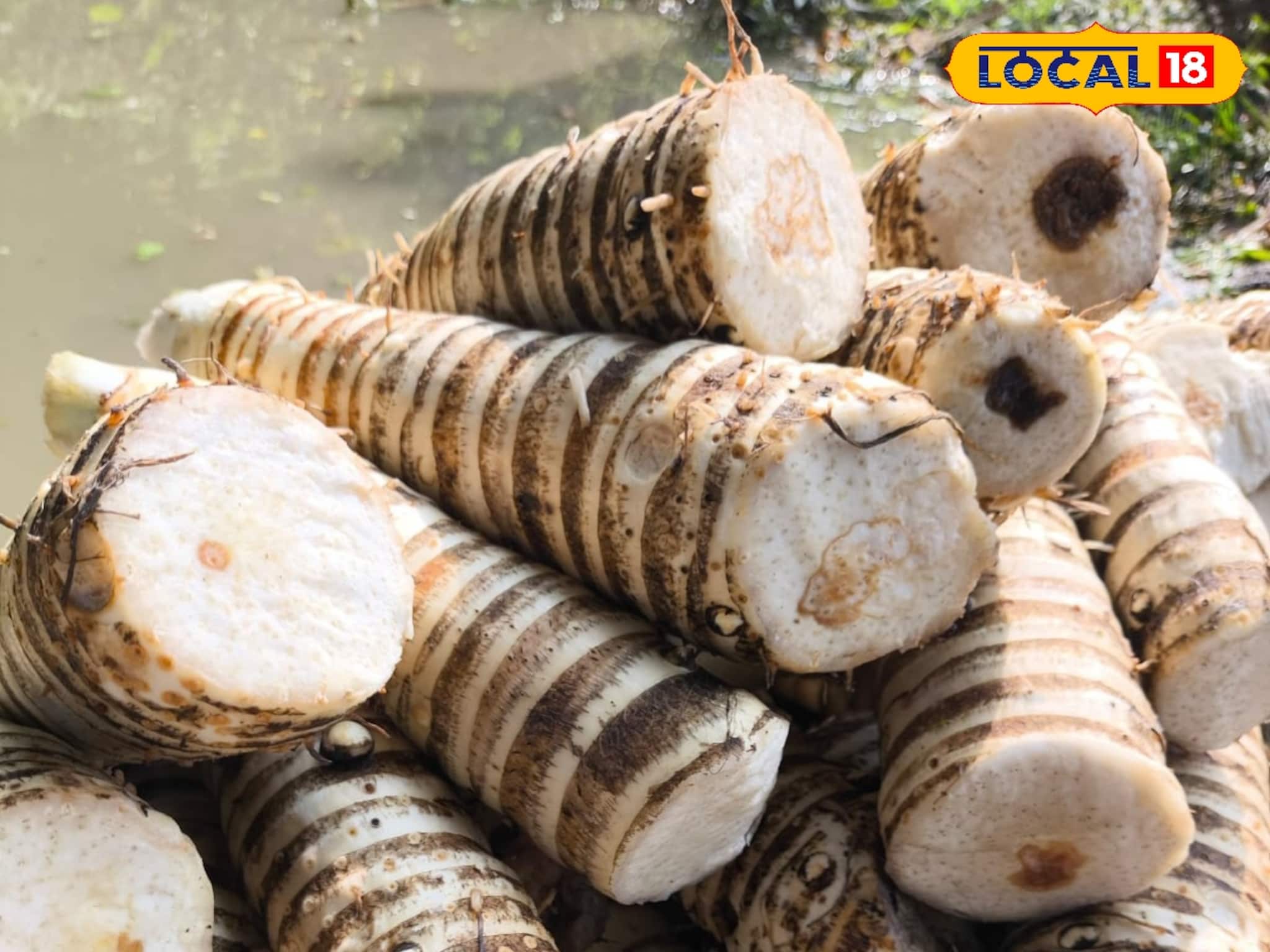 Winter Lifestyle: মেয়েদের জিভ দিয়ে জল পড়ে! শীতের শুরুতে বাঁকুড়ায় পাওয়া যায়! সকলে কেনার জন‍্য পাগল