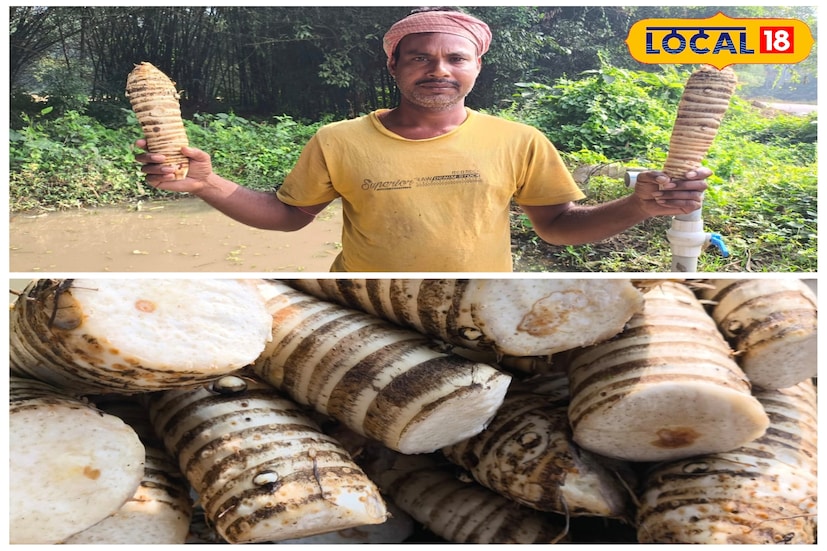 ট্রেনের যাত্রীদের মন যে চিপসে মজে যায়, সেই চিপস তৈরির সবজি যোগান দেয় বাঁকুড়া জেলা। জানেন না অনেকেই। 