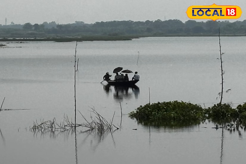 সব মিলিয়ে চুপি পাখিরালয় শীতের পিকনিক মরশুমে একেবারে উপযুক্ত স্থান। পূর্বস্থলী রেলস্টেশনে নেমে মাত্র কয়েক মিনিটের মধ্যেই সহজে পৌঁছে যাওয়া যায় এখানে। তাই আসন্ন শীতের দিনে পরিবার বা বন্ধুদের নিয়ে আনন্দঘন সময় কাটাতে চুপি হতে পারে আপনার পিকনিকের সেরা ঠিকানা।তথ্য ও ছবি: বনোয়ারীলাল চৌধুরী