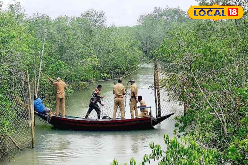 বন ও বন্যপ্রাণী, বিশেষত বাঘের সুরক্ষা নিশ্চিত করা এবং মানব-বন্যপ্রাণী সংঘাত কমানো। এই উদ্দেশ্যে বন ও লোকালয়ের সংযোগস্থলে ফেন্সিং নেট বা জাল ব্যবহার করা হয়।ফেন্সিং এর উদ্দেশ্য ও প্রকৃতি সুন্দরবনের সীমান্তবর্তী গ্রামগুলিতে বাঘের প্রবেশ রোধ করে স্থানীয় বাসিন্দাদের নিরাপত্তা নিশ্চিত করা। বনদপ্তর সাধারণত উচ্চ ঘনত্বের পলিথিন ইনসুলেটেড ব্রেইডেড স্টেইনলেস স্টিল রোপ নেট ব্যবহার করে, যা বাঘ-প্রতিরোধী ফেন্সিং হিসেবে পরিচিত।