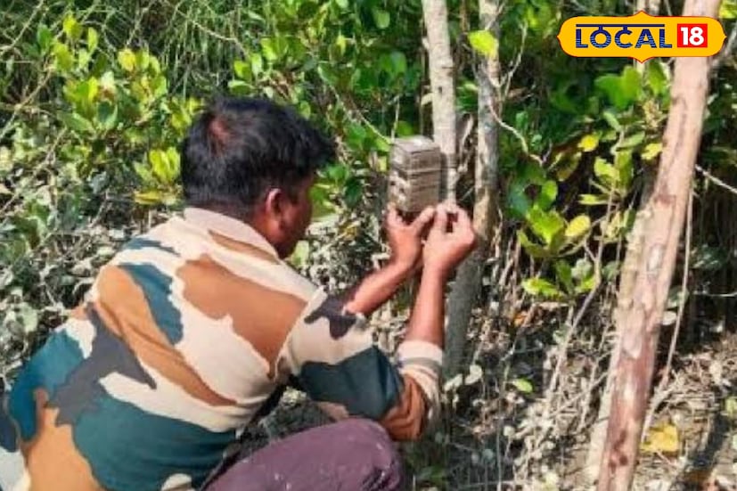 এছাড়াও নিয়মিত ম্যানগ্রোভ রোপণ কর্মসূচির মাধ্যমে বনাঞ্চল বৃদ্ধি করা। বনি ক্যাম্প সজনেখালি, সুধন্যখালি এবং দোবাঁকির মতো গুরুত্বপূর্ণ পরিবেশবান্ধব পর্যটন পরিচালনা করা। বন সংলগ্ন স্থানীয় সম্প্রদায়ের সঙ্গে যৌথভাবে বনের সুরক্ষার জন্য কাজ করা এবং তাদের বিকল্প জীবিকা অর্জনে সহায়তা করা।