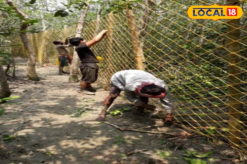 এই বন বিভাগের প্রধান দায়িত্বগুলির মধ্যে বন্যপ্রাণী সংরক্ষণ আইন অনুযায়ী রয়&#x200d;্যাল বেঙ্গল টাইগার-সহ হরিণ, বন্য শুয়োর, বিভিন্ন প্রজাতির পাখি, হাঙর, কচ্ছপ, বিলুপ্ত প্রজাতির মাছ-সহ কুমিরের মতো বিপন্ন প্রজাতির প্রাণীদের সুরক্ষা নিশ্চিত করা, অবৈধ বনজ সম্পদ আহরণ এবং জঙ্গল দখল প্রতিরোধ করা।