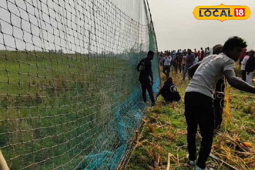 সুন্দরবন বায়োস্ফিয়ার দক্ষিণ চব্বিশ পরগনা বন বিভাগ হল পশ্চিমবঙ্গের অত্যন্ত গুরুত্বপূর্ণ একটি প্রশাসনিক বনবিভাগ। এই বিভাগের প্রধান কাজ হল সুন্দরবন ম্যানগ্রোভ অরণ্যের একটি বিশাল অংশের সংরক্ষণ ও ব্যবস্থাপনা। এটি শুধুমাত্র ভারতের জীববৈচিত্র্য রক্ষার ক্ষেত্রেই নয়, উপকূলীয় বাস্তুতন্ত্র সুরক্ষার ক্ষেত্রেও গুরুত্বপূর্ণ ভূমিকা পালন করে।